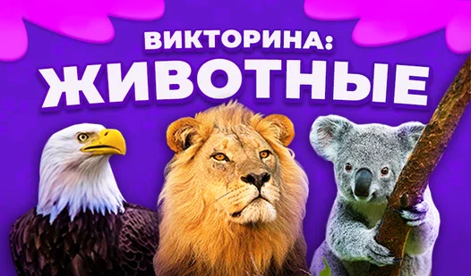 «ЖИВОТНЫЙ МИР: угадай легко!»